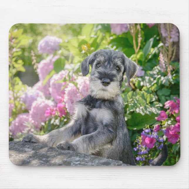 Mousepad Cãozinho Schnauzer Standard em um jardim com flore (Frente)