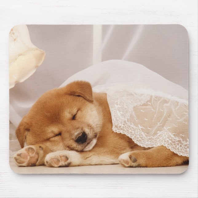 Mousepad Cãozinho Shiba Inu dormindo debaixo de uma cortina (Frente)