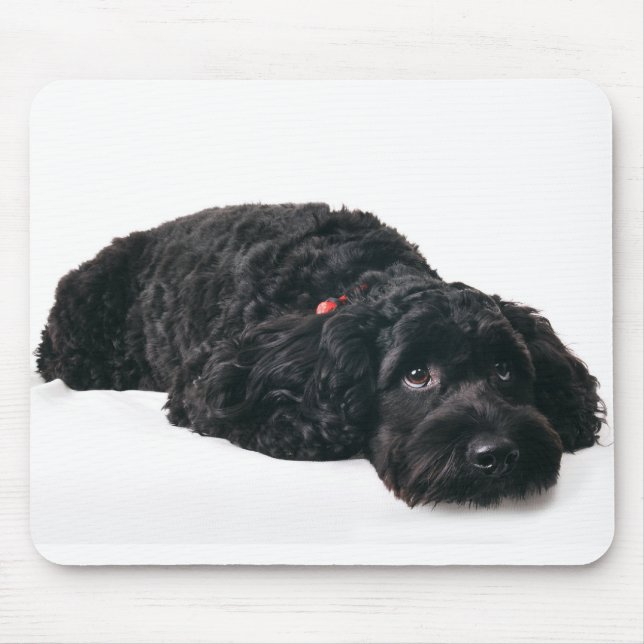 Mousepad Cãozinho triste (Frente)