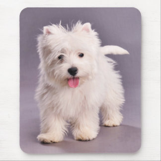 Mousepad Cãozinho Westie