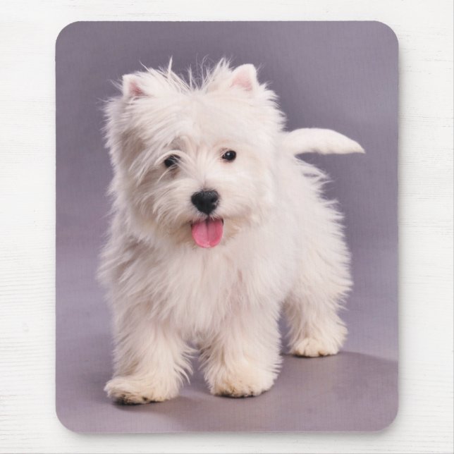 Mousepad Cãozinho Westie (Frente)