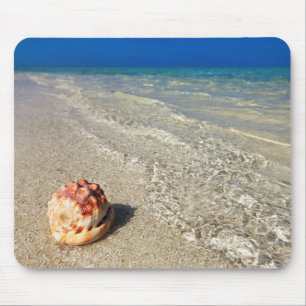 Mousepad Capacete Shell em Lagoon tropical Cassis Rufa