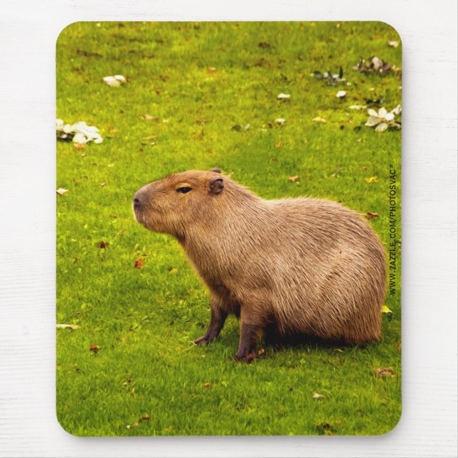 Mousepad Capivara (Frente)