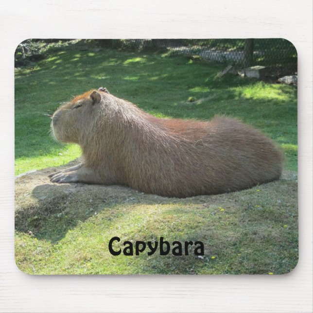 Mousepad Capivara - Grande Roedor (Frente)