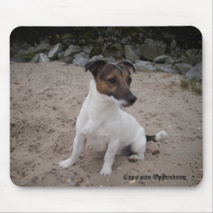 Mousepad Capo von Oppenheim Jack Russell Terrier, Cão