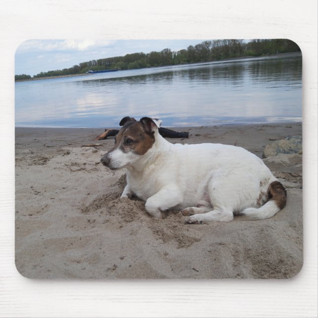 Mousepad Capo von Oppenheim Jack Russell Terrier, Cão (Frente)