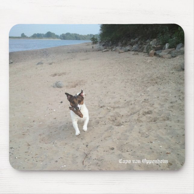 Mousepad Capo von Oppenheim Jack Russell Terrier, Cão (Frente)