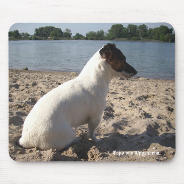 Mousepad Capo von Oppenheim Jack Russell Terrier, Cão (Frente)