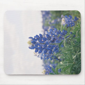 Mousepad Capota azul
