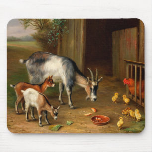 Mousepad Caprinos E Galinhas Na Fazenda