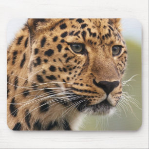 Mousepad Captura de Cabeça Leopardo