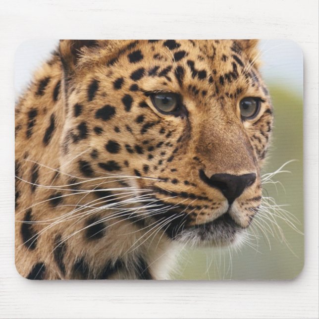 Mousepad Captura de Cabeça Leopardo (Frente)