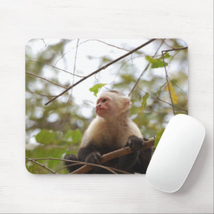 Mousepad Capuchin de face branca, fotografia de macacos sel