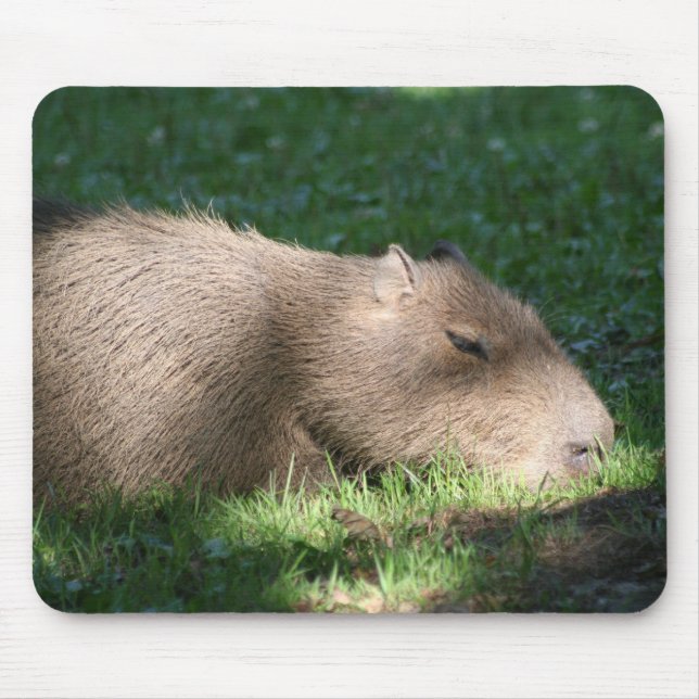 Mousepad Capybara (Frente)