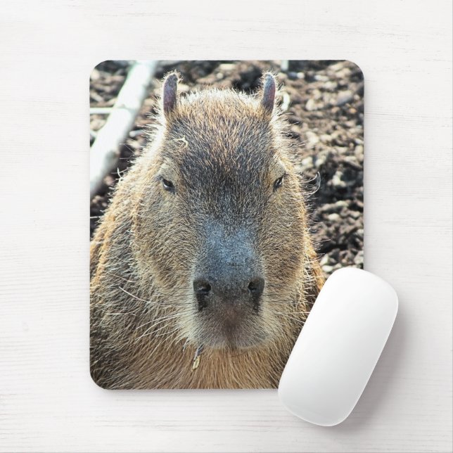MOUSEPAD CAPYBARA (Com mouse)