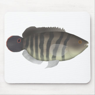 Mousepad Cará-açu