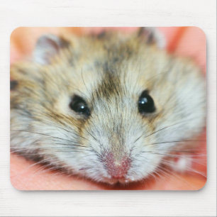 Mousepad Cara bonito 2 do hamster