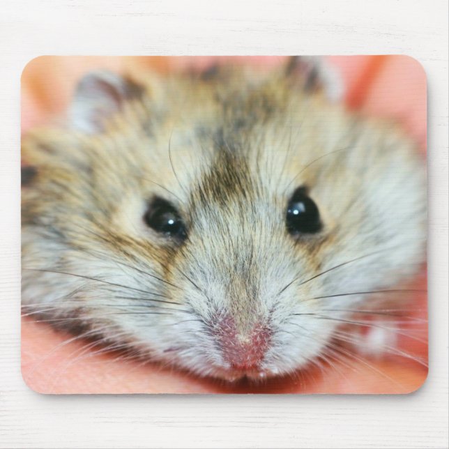 Mousepad Cara bonito 2 do hamster (Frente)