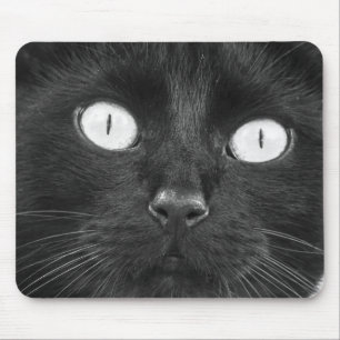 Mousepad Cara bonito do gato preto