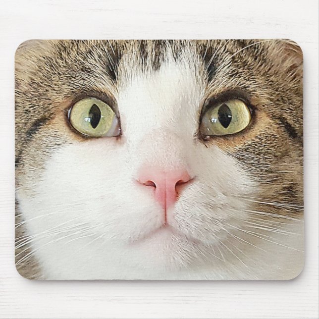 Mousepad cara de gato (Frente)