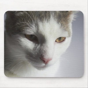 Mousepad Cara de um gato