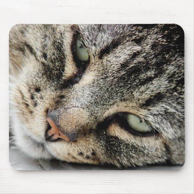 Mousepad Cara do gato (Frente)