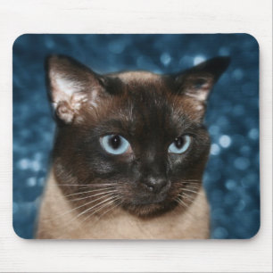 Mousepad Cara do gato Siamese
