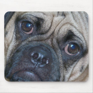 Mousepad cara do puggle