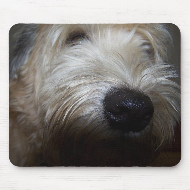 Mousepad Cara Wheaten do cão de Terrier (Frente)