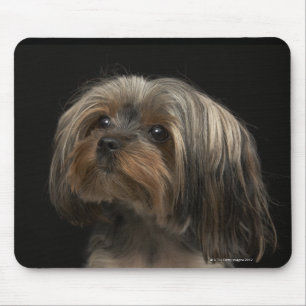 Mousepad Cara yorking triste que olha à esquerda
