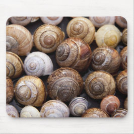 Mousepad Caracóis