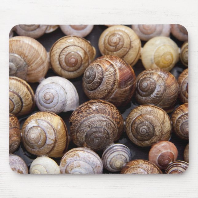 Mousepad Caracóis (Frente)