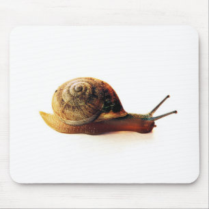 Mousepad Caracol