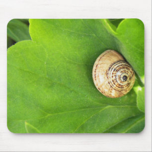 Mousepad Caracol