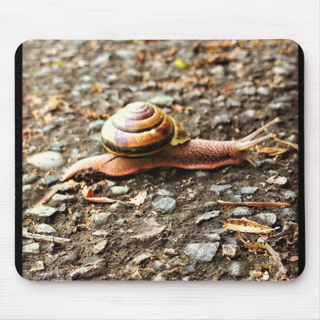 Mousepad Caracol Vermelho no chão (Frente)