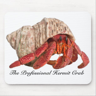 Mousepad Caranguejo de eremita Mousepad, o caranguejo de