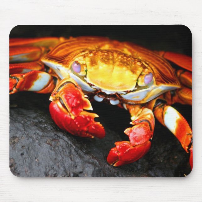 Mousepad Caranguejo de Galápagos (Frente)