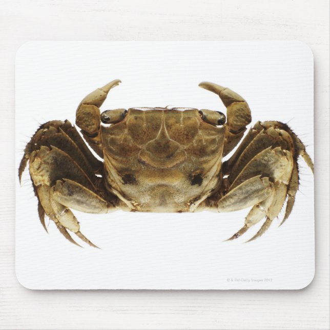 Mousepad Caranguejo em fundo branco (Frente)