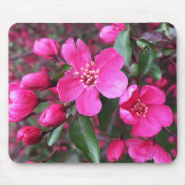 Mousepad Caranguejo-Flor Rosa