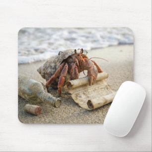 Mousepad Caranguejo Lendo uma Carta numa Praia