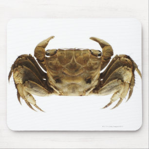 Mousepad Caranguejo no fundo branco