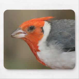 Mousepad Cardeal com crista vermelho