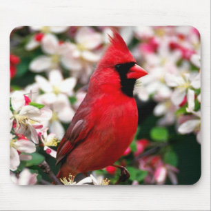 Mousepad Cardeal do norte