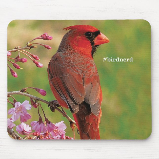 Mousepad Cardeal do norte 2 (Frente)