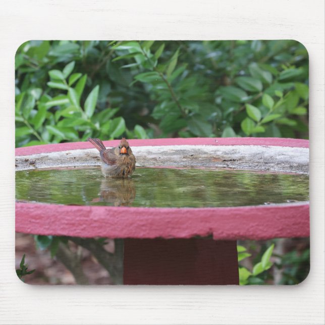 Mousepad Cardeal feminino em Birdabat (Frente)