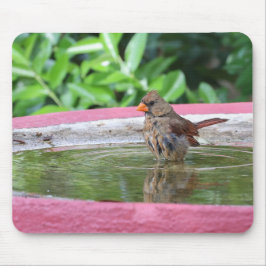 Mousepad Cardeal feminino em Birdabat