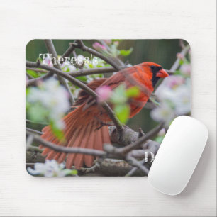 Mousepad Cardeal masculino em Springtime