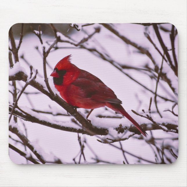 Mousepad Cardeal Vermelho em um Pad de Mouse de Árvore Neve (Frente)