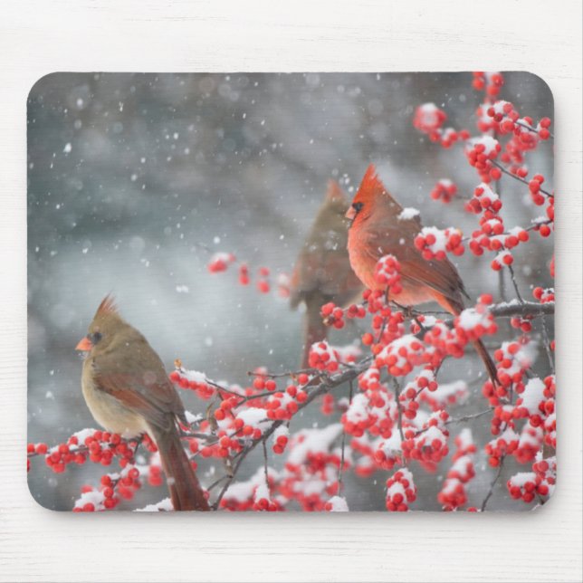 Mousepad Cardinais do norte | Marion, Illinois (Frente)