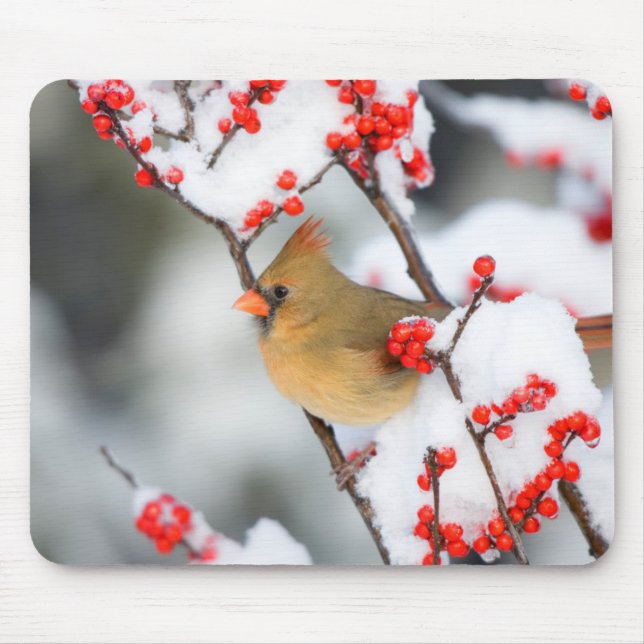 Mousepad Cardinal-do-norte fêmea em Winterberry Comum (Frente)